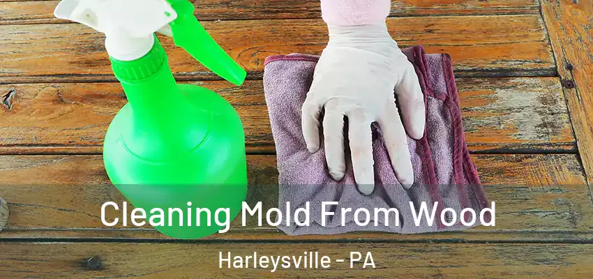 Cleaning Mold From Wood Harleysville - PA