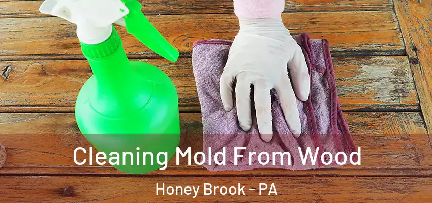 Cleaning Mold From Wood Honey Brook - PA