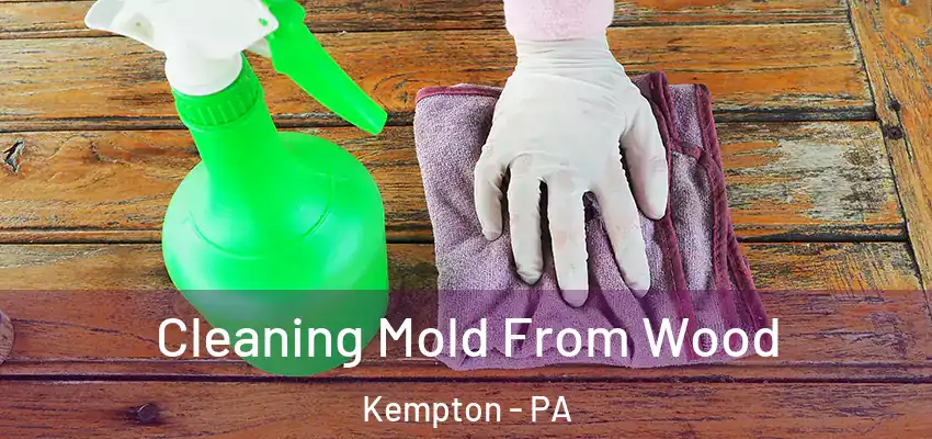 Cleaning Mold From Wood Kempton - PA