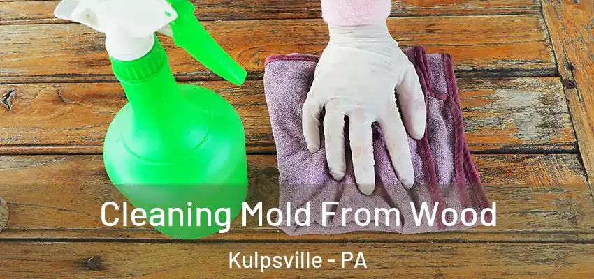 Cleaning Mold From Wood Kulpsville - PA