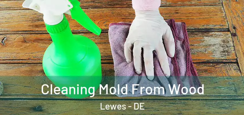  Cleaning Mold From Wood Lewes - DE