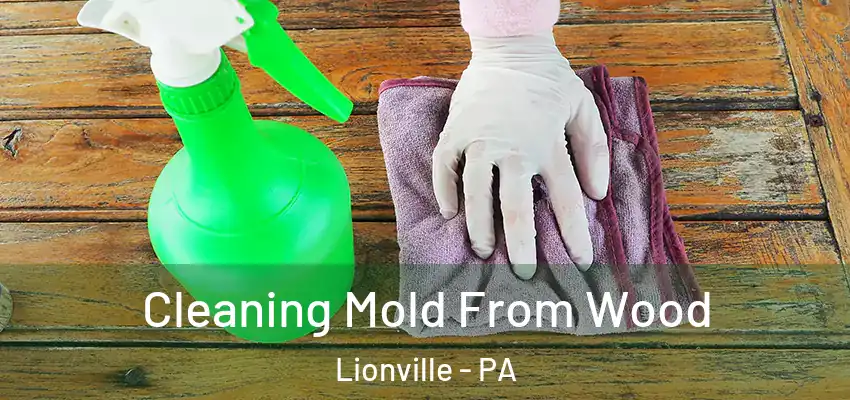 Cleaning Mold From Wood Lionville - PA