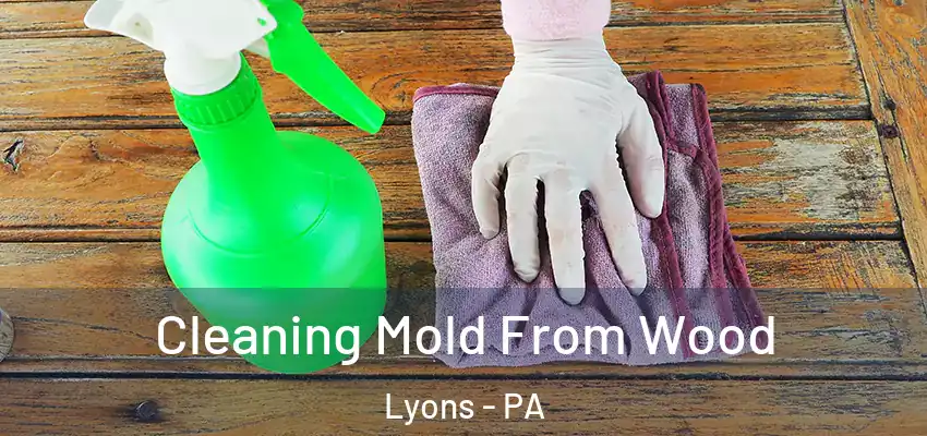 Cleaning Mold From Wood Lyons - PA