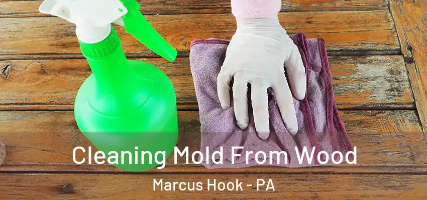 Cleaning Mold From Wood Marcus Hook - PA