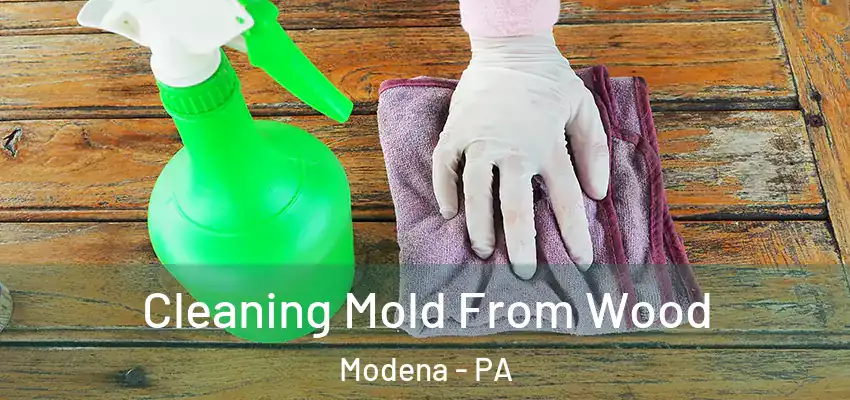  Cleaning Mold From Wood Modena - PA