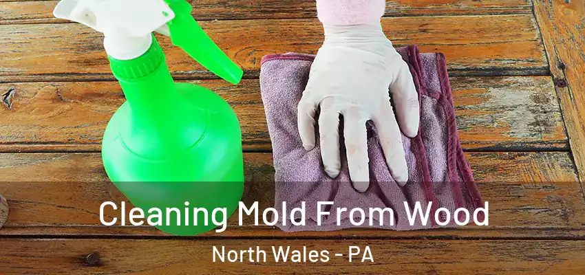 Cleaning Mold From Wood North Wales - PA