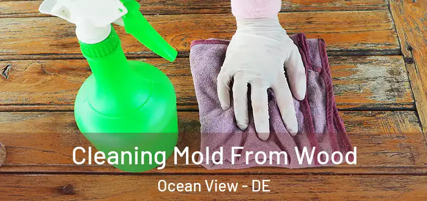  Cleaning Mold From Wood Ocean View - DE
