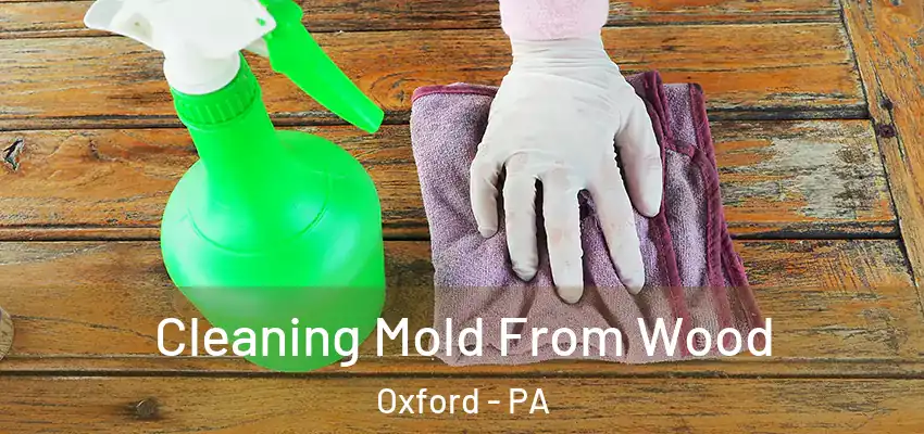  Cleaning Mold From Wood Oxford - PA