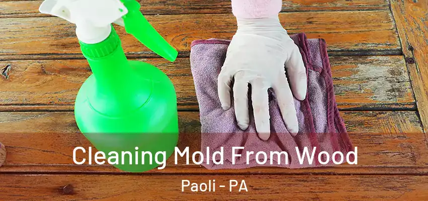 Cleaning Mold From Wood Paoli - PA