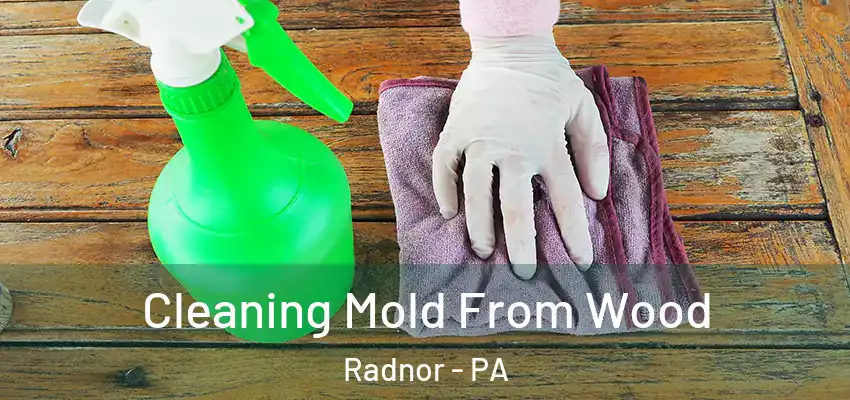  Cleaning Mold From Wood Radnor - PA