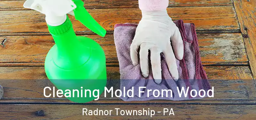Cleaning Mold From Wood Radnor Township - PA