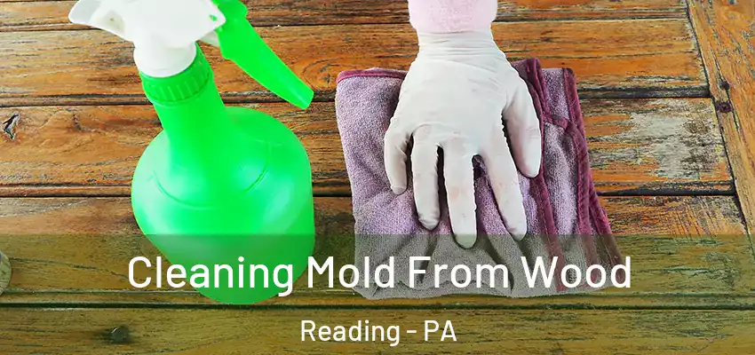 Cleaning Mold From Wood Reading - PA