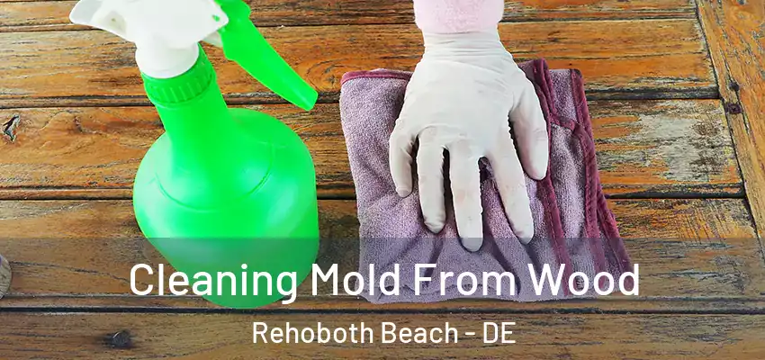  Cleaning Mold From Wood Rehoboth Beach - DE