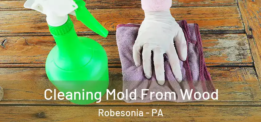 Cleaning Mold From Wood Robesonia - PA