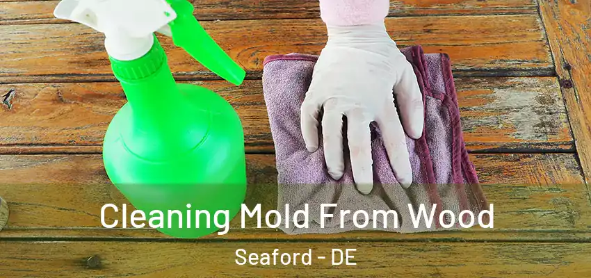 Cleaning Mold From Wood Seaford - DE