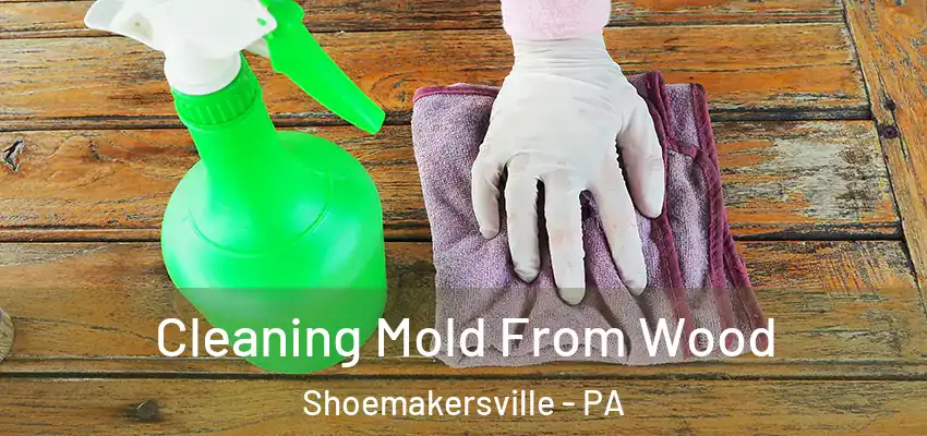 Cleaning Mold From Wood Shoemakersville - PA