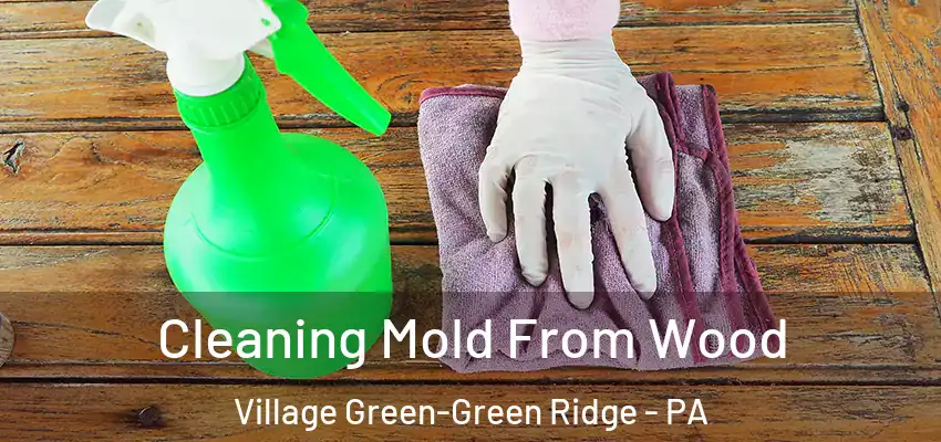 Cleaning Mold From Wood Village Green-Green Ridge - PA