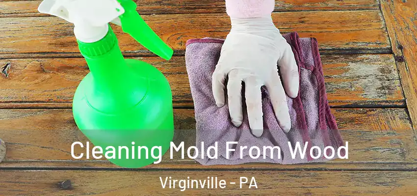 Cleaning Mold From Wood Virginville - PA