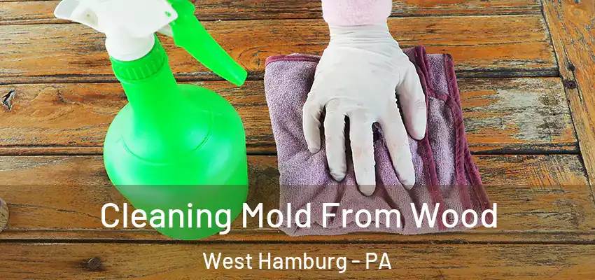 Cleaning Mold From Wood West Hamburg - PA