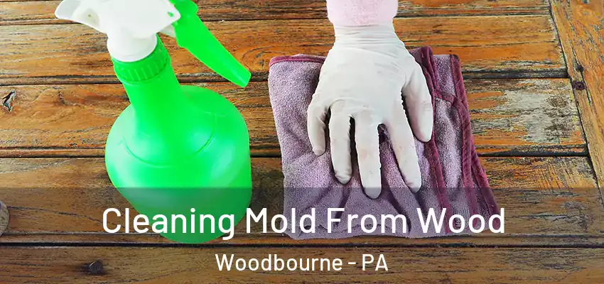 Cleaning Mold From Wood Woodbourne - PA