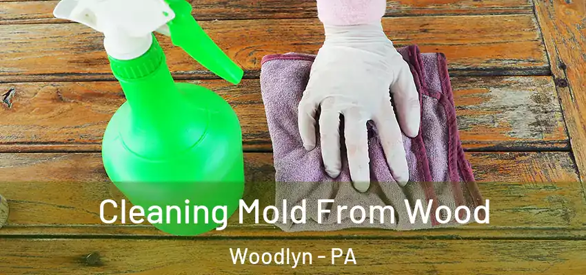 Cleaning Mold From Wood Woodlyn - PA