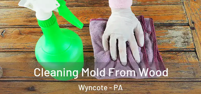 Cleaning Mold From Wood Wyncote - PA