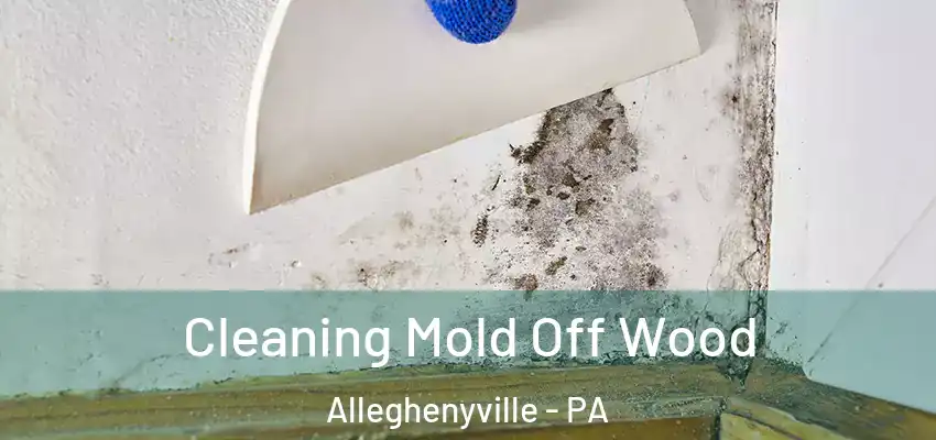  Cleaning Mold Off Wood Alleghenyville - PA