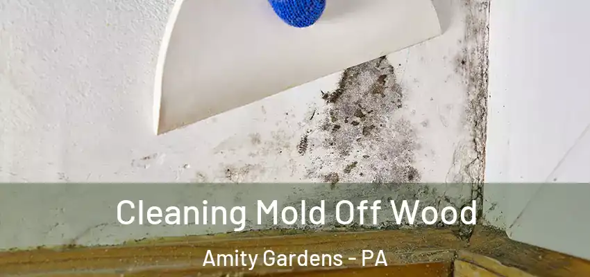  Cleaning Mold Off Wood Amity Gardens - PA