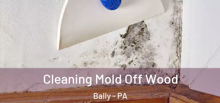 Cleaning Mold Off Wood Bally - PA