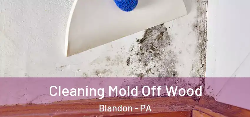 Cleaning Mold Off Wood Blandon - PA