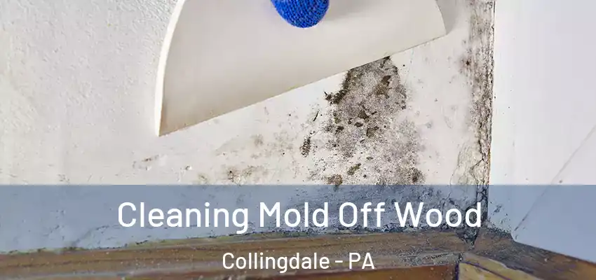 Cleaning Mold Off Wood Collingdale - PA