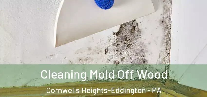  Cleaning Mold Off Wood Cornwells Heights-Eddington - PA