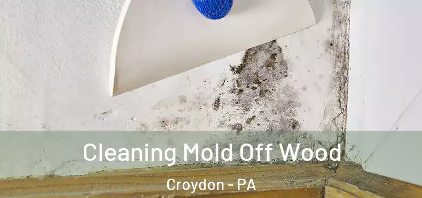  Cleaning Mold Off Wood Croydon - PA