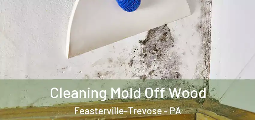  Cleaning Mold Off Wood Feasterville-Trevose - PA