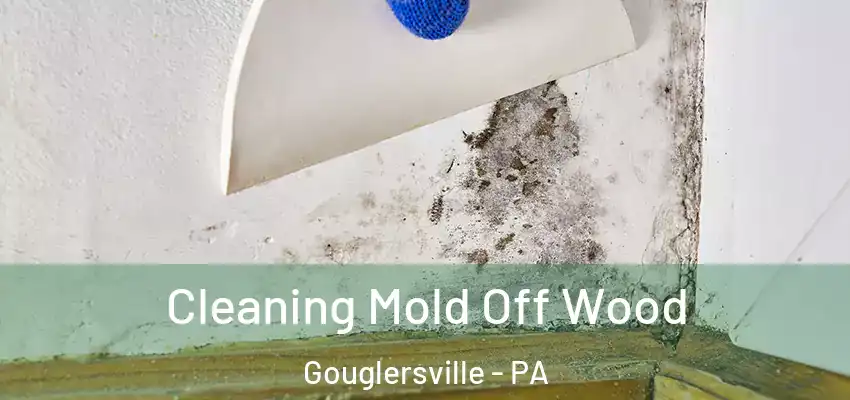 Cleaning Mold Off Wood Gouglersville - PA