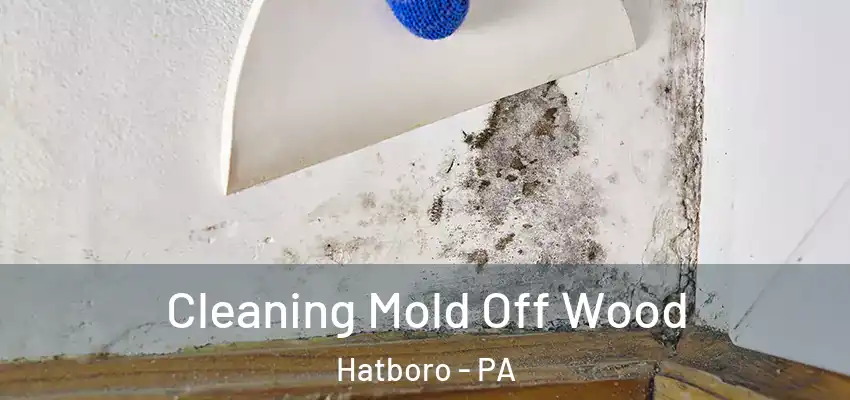Cleaning Mold Off Wood Hatboro - PA