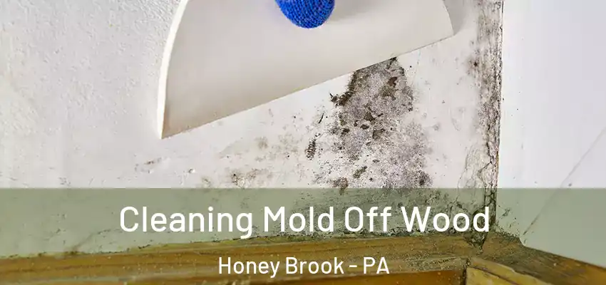 Cleaning Mold Off Wood Honey Brook - PA