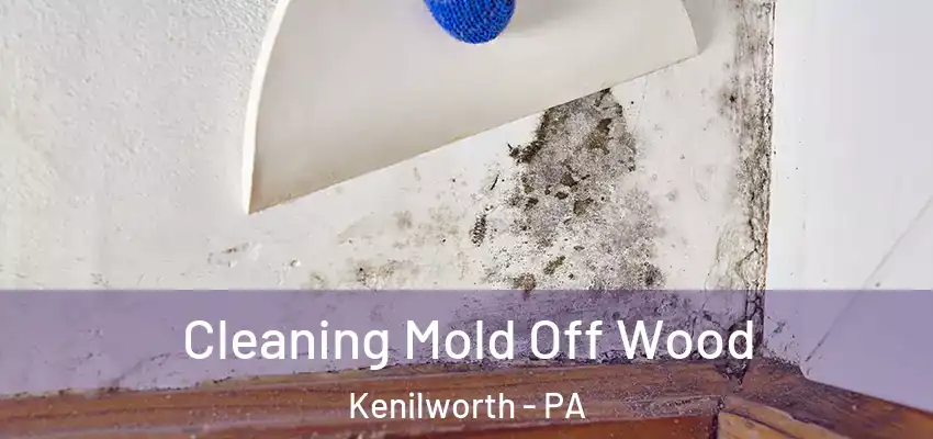 Cleaning Mold Off Wood Kenilworth - PA