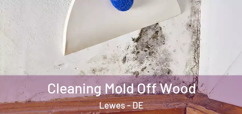  Cleaning Mold Off Wood Lewes - DE