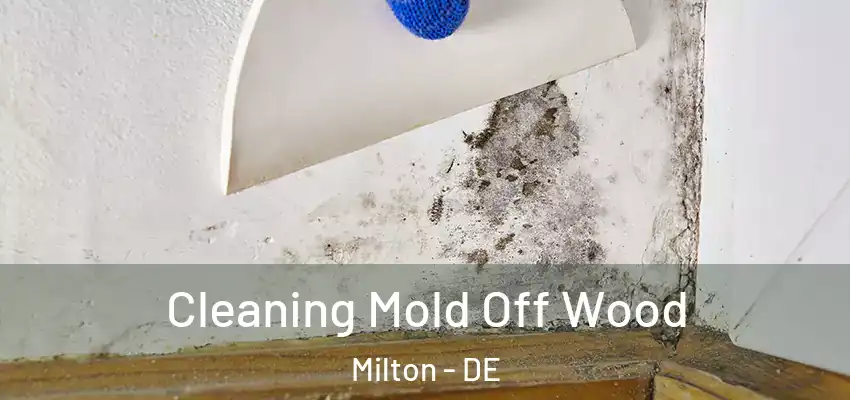 Cleaning Mold Off Wood Milton - DE