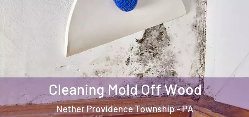 Cleaning Mold Off Wood Nether Providence Township - PA