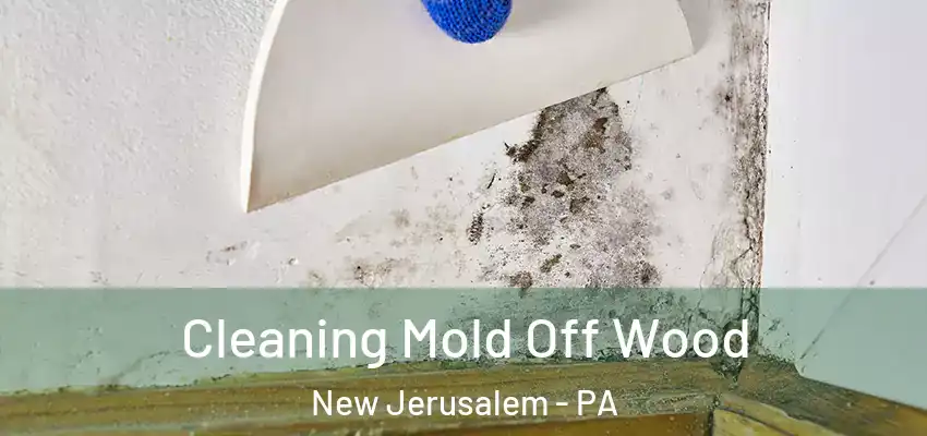Cleaning Mold Off Wood New Jerusalem - PA