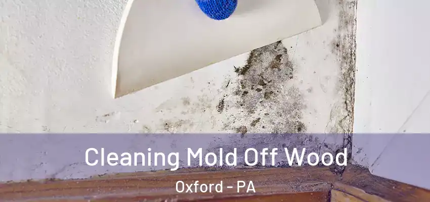 Cleaning Mold Off Wood Oxford - PA