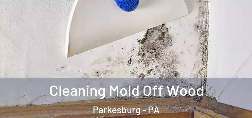 Cleaning Mold Off Wood Parkesburg - PA