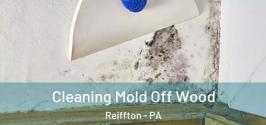 Cleaning Mold Off Wood Reiffton - PA
