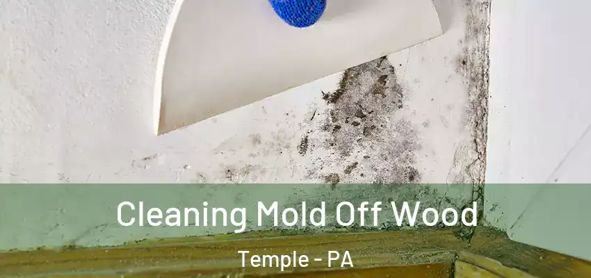  Cleaning Mold Off Wood Temple - PA
