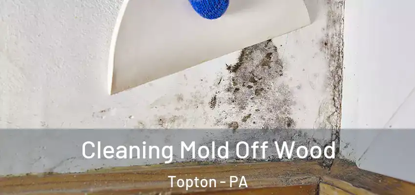 Cleaning Mold Off Wood Topton - PA