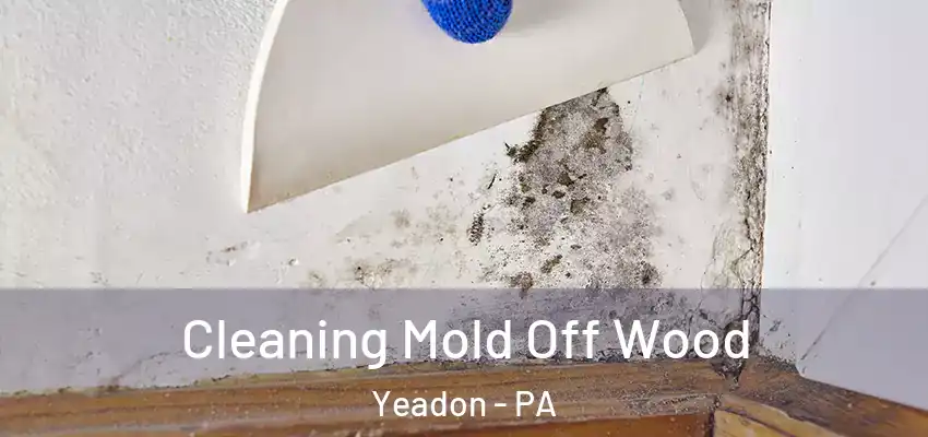 Cleaning Mold Off Wood Yeadon - PA