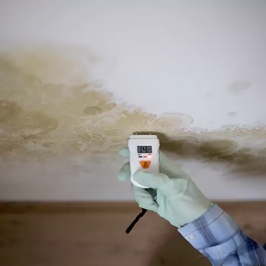 Reliable Mold Inspection Experts in Seaford, DE