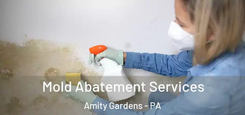  Mold Abatement Services Amity Gardens - PA